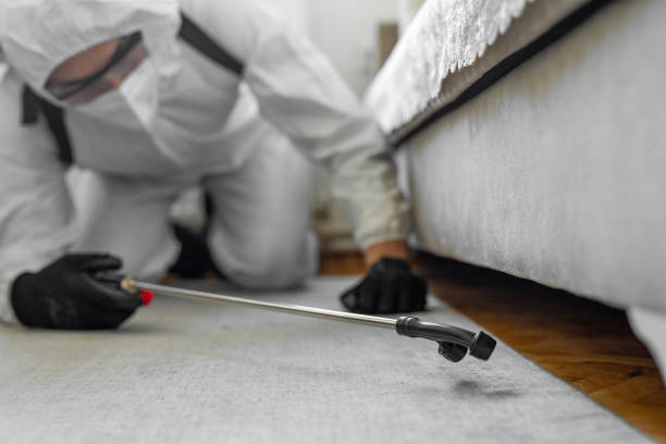 Professional Cockroach Control technician working in East Dubuque, IL