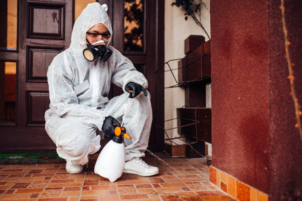Reliable Cockroach Control contractor in East Dubuque, IL by Nex Pest Control