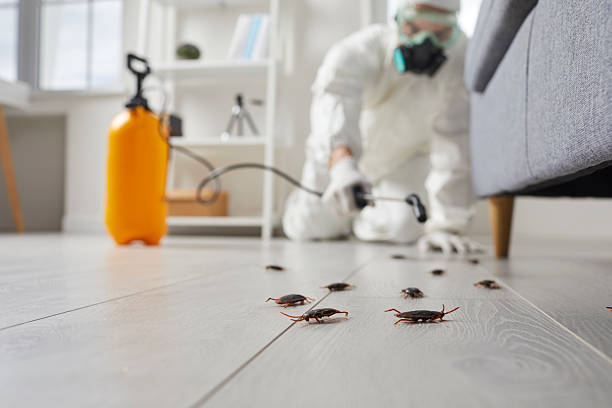 Affordable Cockroach Control solutions in East Dubuque, IL